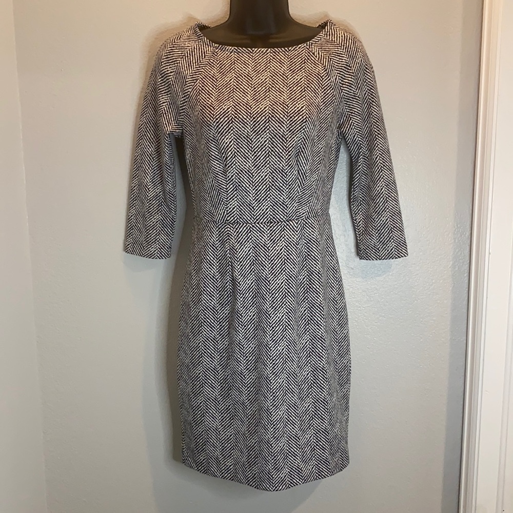 The Limited black/white dress